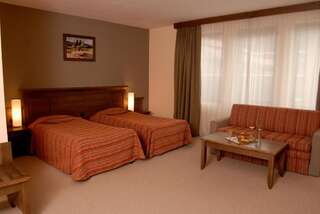 Отель Lion Bansko Hotel Банско Двухместный номер с 1 кроватью или 2 отдельными кроватями-5